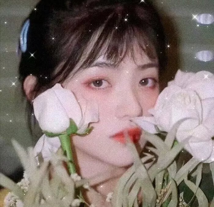 画家与贼 封面